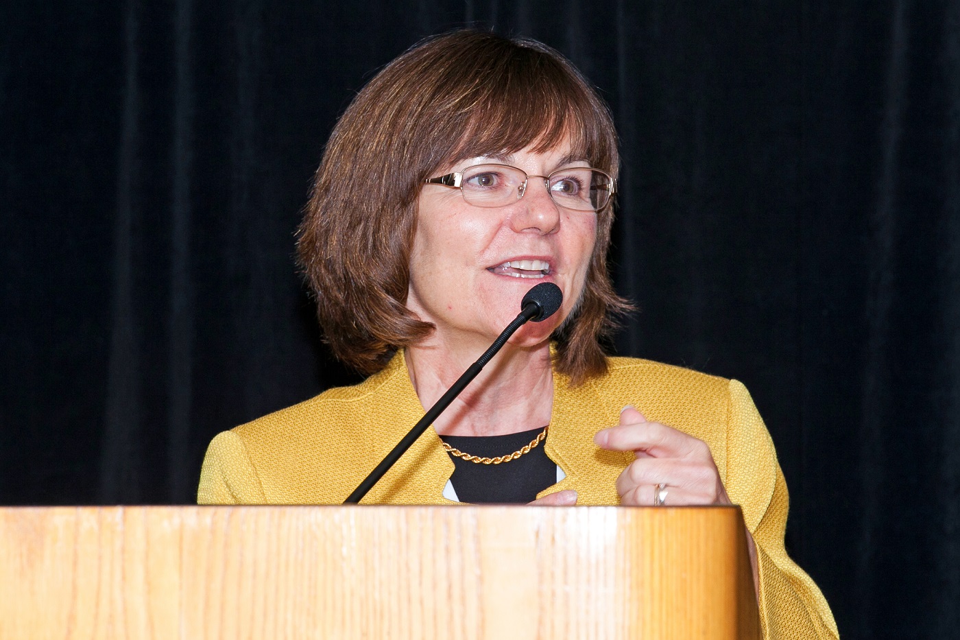 Patricia Shafer Presenting